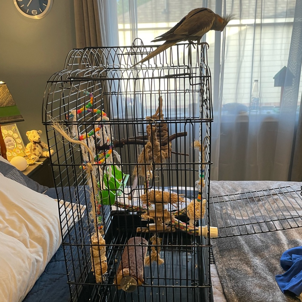 Bird cage